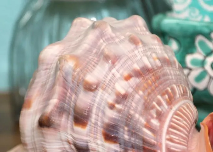 דירה Le Monachelle Luxury In וילסימיוס